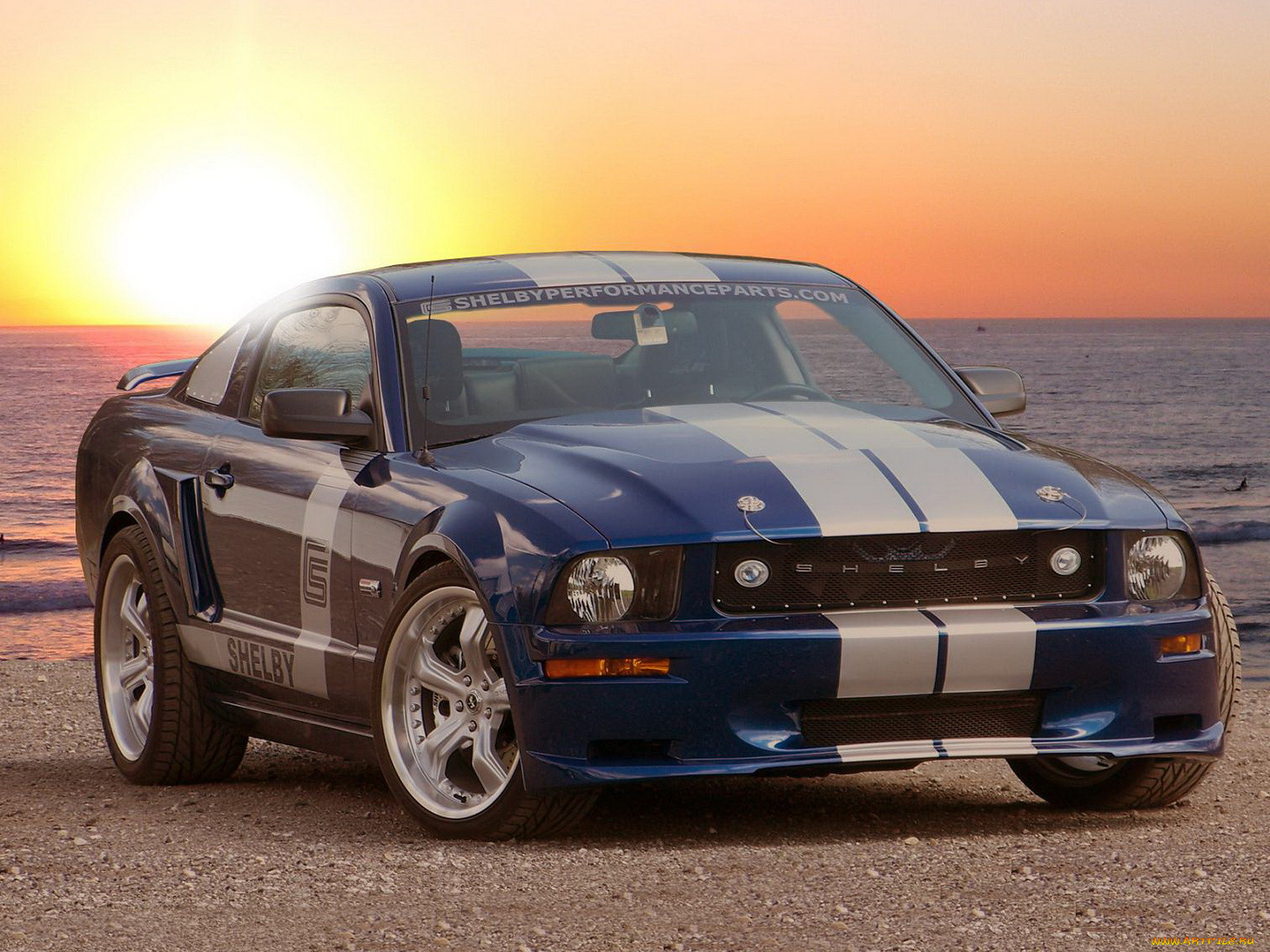 , mustang